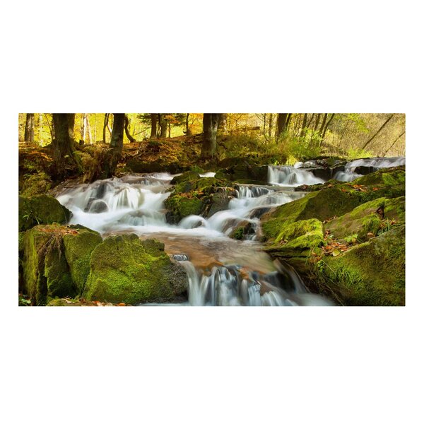 Union Rustic Leinwandbild Autumn Forest Waterfall Wayfair De